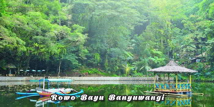 Tempat wisata Rowo Bayu Banyuwangi