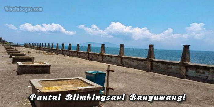 tempat wisata Pantai Blimbingsari Banyuwangi
