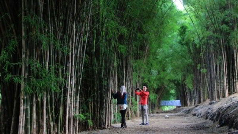 tempat-wisata-di-surabaya-hutan-bambu-keputih