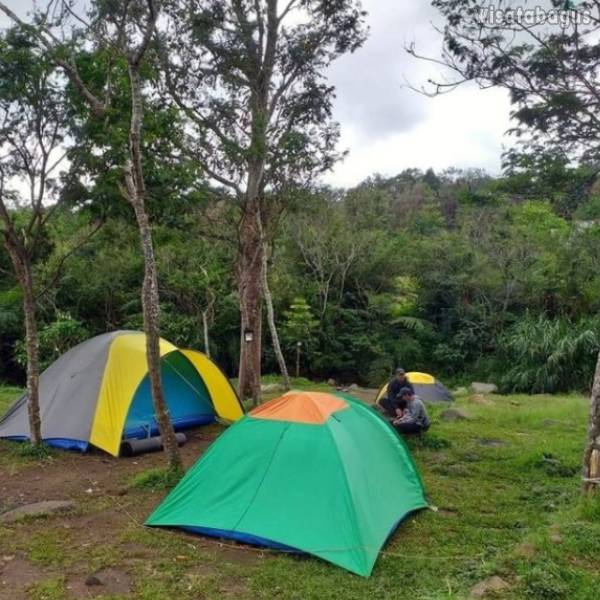 Camping Ground Cibodas